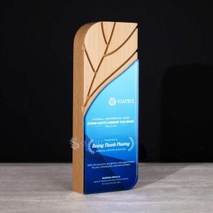 Biểu trưng vinh danh