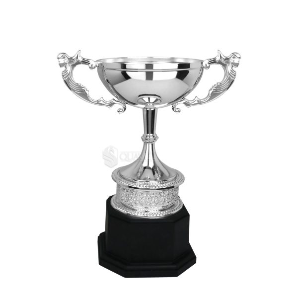 cup-nghe-thuat-91b602-1-1