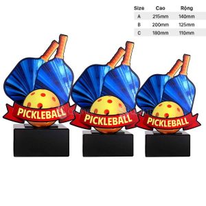 Các size cúp nghệ thuật Pickleball 91V236