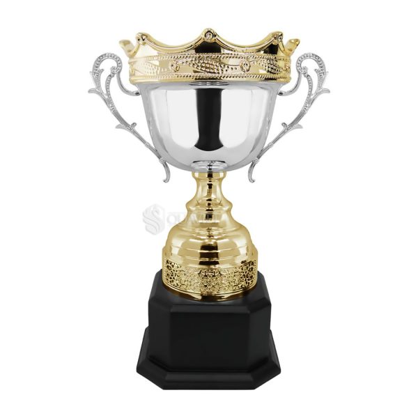 cup-nghe-thuat-91v606