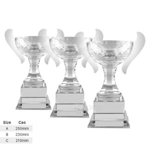 Cúp Pha Lê – PL-17 - Ảnh 3