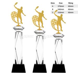 Các size mẫu cúp pha lê trong suốt pickleball