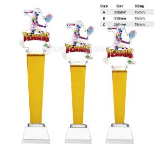 Cúp Pha Lê – PL-94 - Ảnh 3