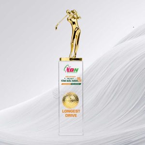 Cúp Pha Lê – PLG-001 - Ảnh 3