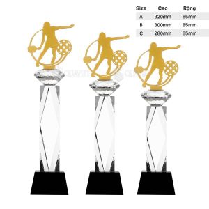 Cúp Pha Lê – PLP-006 - Ảnh 3