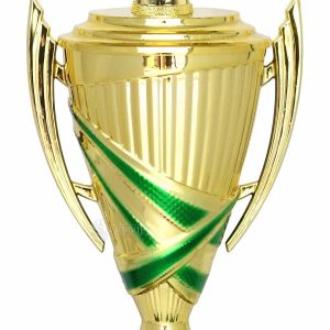 Cúp Nhựa Hội Thao – Đơn Giản Nhưng Ý Nghĩa To Lớn - Ảnh 4