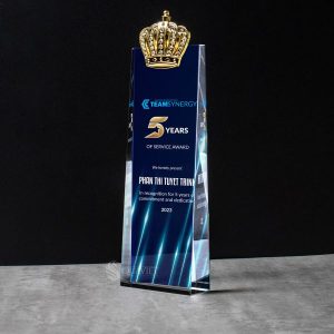 Biểu trưng truyền thống 5 năm cho nhân viên