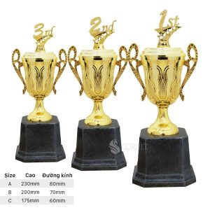 Các size tốt nghiệp khen thưởng JT1012