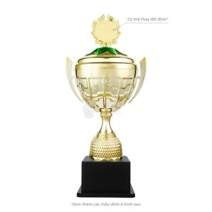 Cúp Milano Medium – MDG0041 và MDG1041 (3 sizes) - Ảnh 3