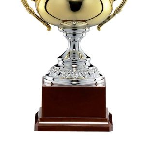 Cúp Milano Premium – MR0005 - Ảnh 5