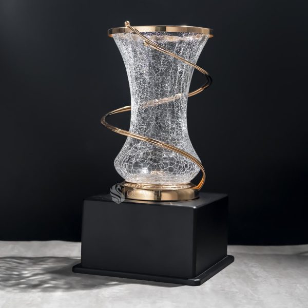 cup-nghe-thuat-91v524_0