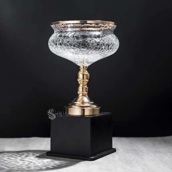cup-nghe-thuat-91v525_0
